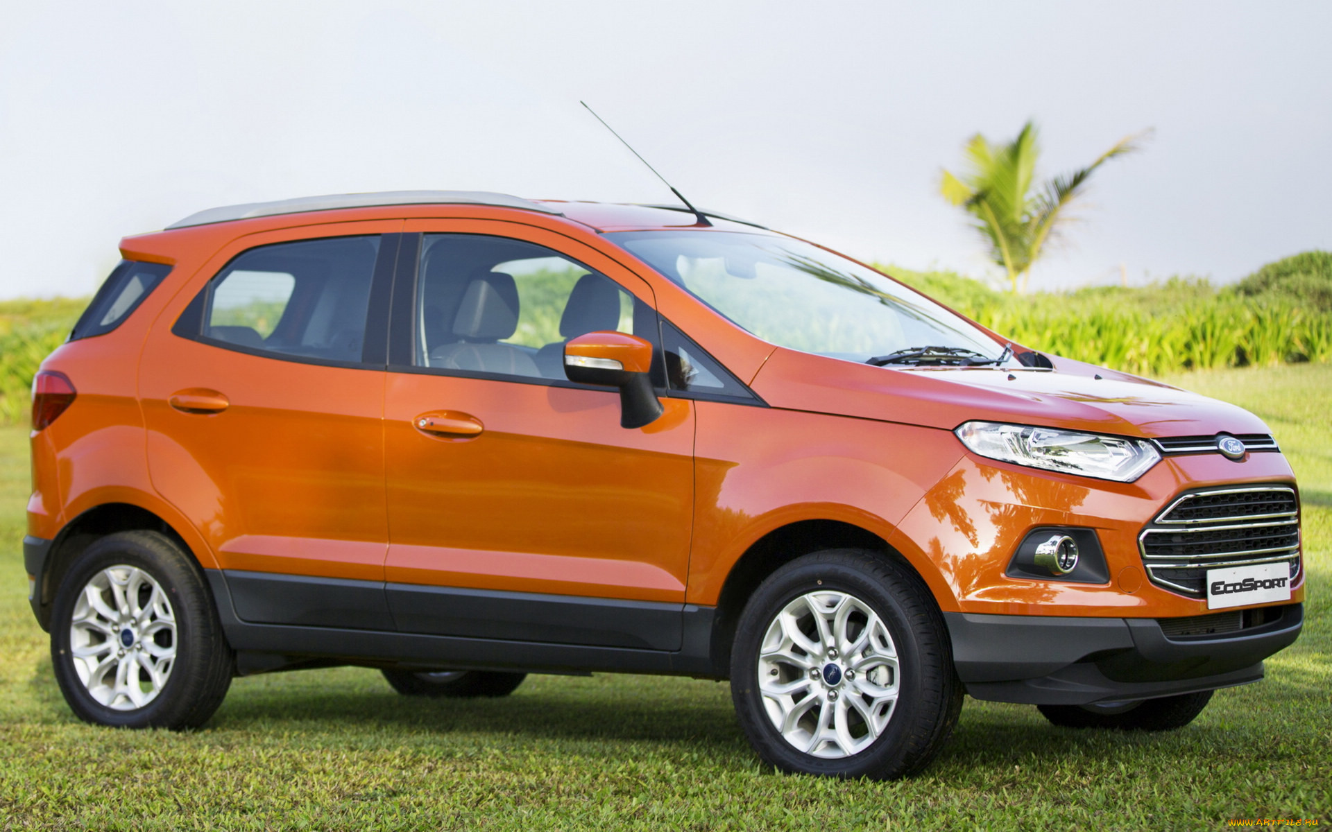 , ford, car